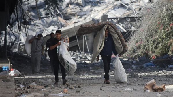 تضامن الأمل: دعوات الهجرة تجمع فلسطينيي كندا بعائلاتهم في غزة